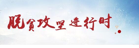 智慧党建信息管理系统