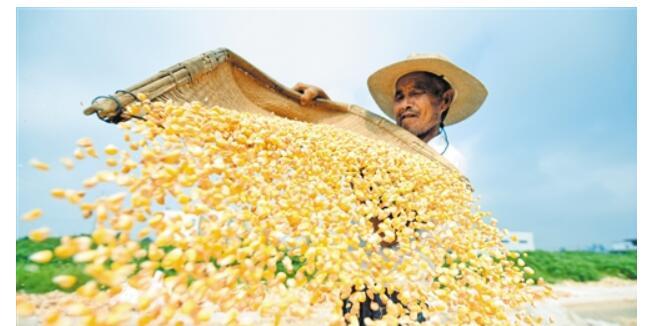 郑州党建软件开发 郑州党建软件开发